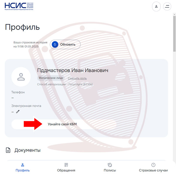 Кнопка Узнайте свой КБМ в НСИС