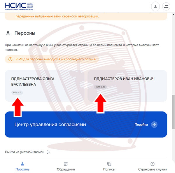 Раздел Персоны в НСИС