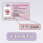 Изображение - Узнать штрафы гибдд по паспортным данным 100329-nomer-vu